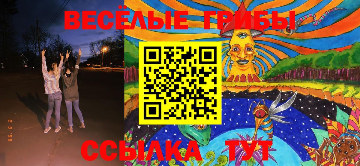 Галлюциногенные грибы GOLDEN TEACHER Кашира