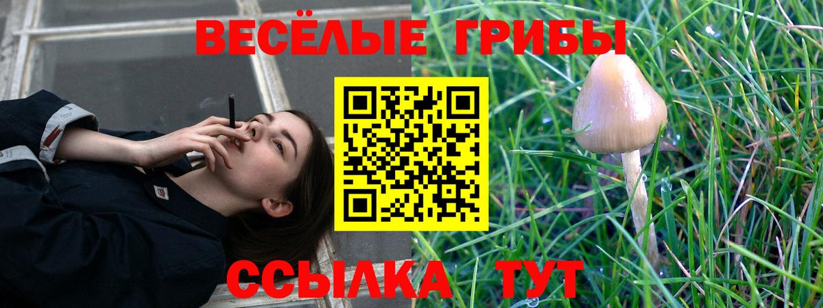 Псилоцибиновые грибы Psilocybine cubensis  Галлюциногенные грибы Psilocybine cubensis  Вход с VPN  где купить наркоту  Кашира 